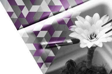 IP report 2022 tile chapter1a