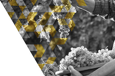 IP report 2022 tile chapter5